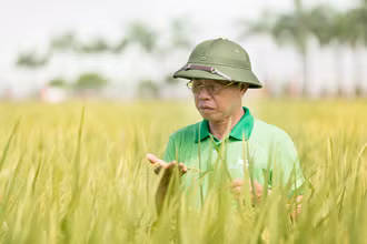 Doanh nhân Trần Mạnh Bảo, Chủ tịch Hội đồng quản trị ThaiBinh Seed.