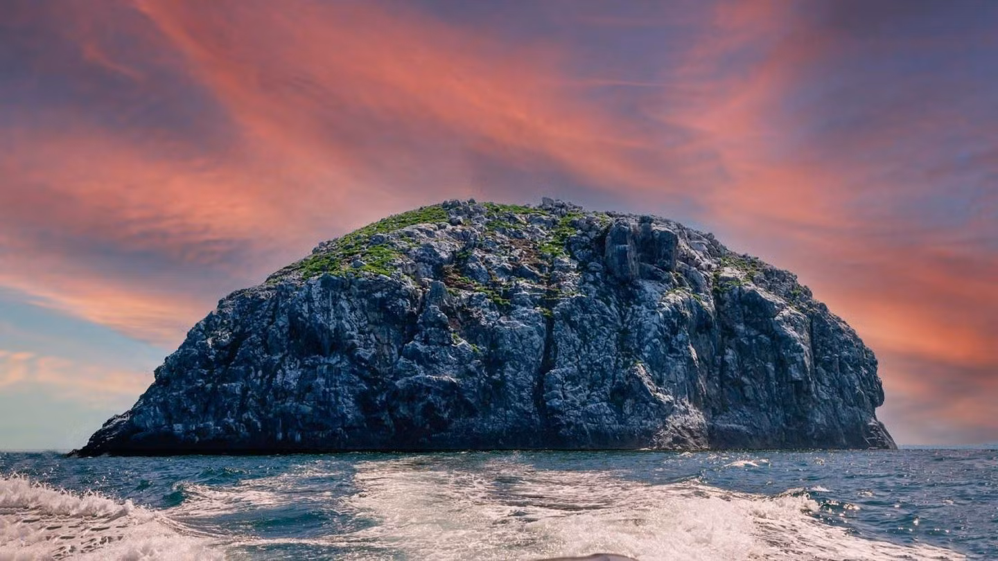hon-trung-dep-sua.jpg