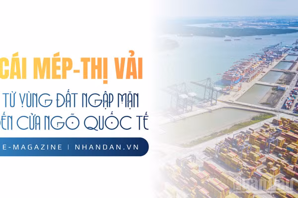 Cái Mép-Thị Vải, từ vùng đất ngập mặn đến cửa ngõ quốc tế