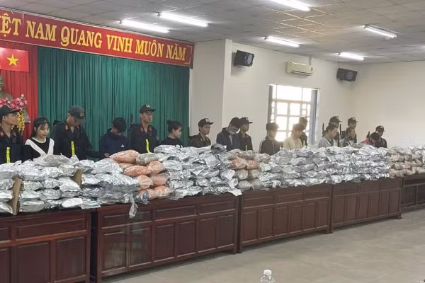 Giai đoạn 1 của chuyên án 128T thu giữ 550 kg cần sa khô.