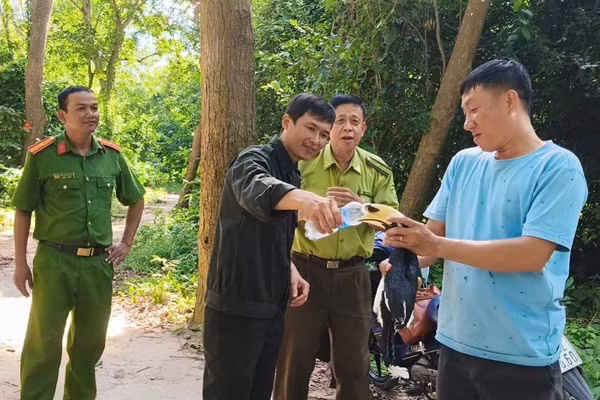 Ngành chức năng tiến hành thả chim cao cát về tự nhiên. (Ảnh: Chi cục Kiểm lâm An Giang cung cấp)