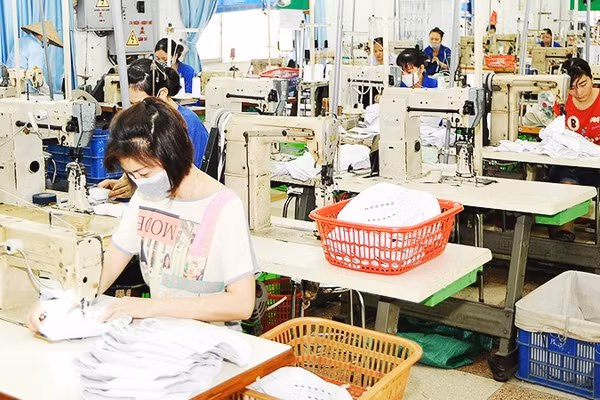 Doanh nghiệp cần nắm bắt tiêu chuẩn của từng thị trường với yêu cầu cụ thể đối với sản phẩm của mình. Ảnh: NGUYỆT ANH