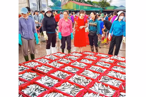Theo dự thảo Luật An toàn thực phẩm (sửa đổi), quản lý an toàn thực phẩm phải gắn với một đầu mối rõ ràng. 