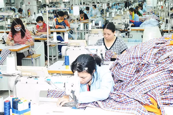 Ấn Độ có khả năng cung cấp nguồn nguyên phụ liệu lớn cho ngành dệt may, giúp doanh nghiệp đa dạng hóa nguồn cung. Ảnh: NAM HẢI
