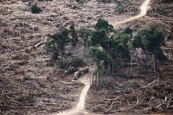 Một khu rừng tại Brazil bị tàn phá. Ảnh: PINTEREST 