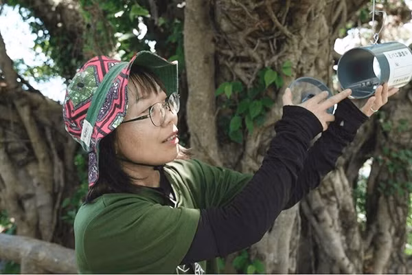 Chuyên gia Kusumoto Misaki thu thập thông tin từ bẫy ruồi. Ảnh: NHK