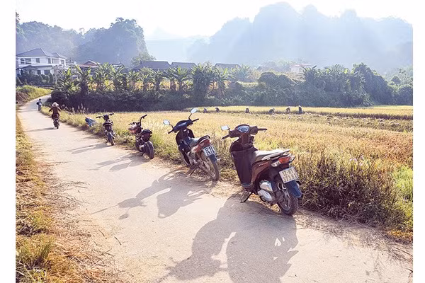 Giao thông thuận lợi dẫn về thôn.
