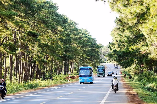 Những cánh rừng ở Tây Nguyên. Ảnh: NGUYỆT ANH
