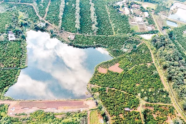 Một trong những miệng núi lửa hàng triệu năm tại Gia Lai.
