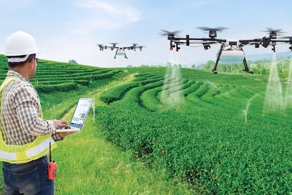 Ứng dụng IOT trong nông nghiệp bền vững.