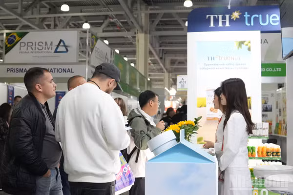 Các doanh nghiệp tìm hiểu về sản phẩm TH tại Hội chợ. (Ảnh: THANH THỂ)