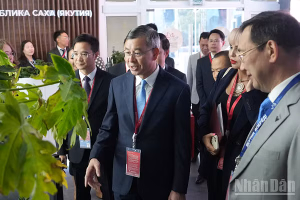 Bộ trưởng Ngô Văn Tuấn tại Diễn đàn Kinh tế phương Đông năm 2026. (Ảnh: THANH THỂ)