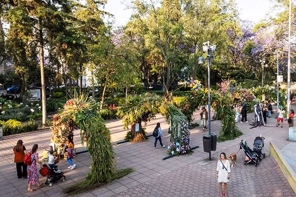“Bảo tàng hoa” khổng lồ