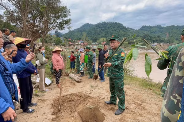 Cán bộ, chiến sĩ Đồn Biên phòng Mỹ Lý chia sẻ về giống tre tứ quý cũng như đặc điểm để người dân trồng, chăm sóc.
