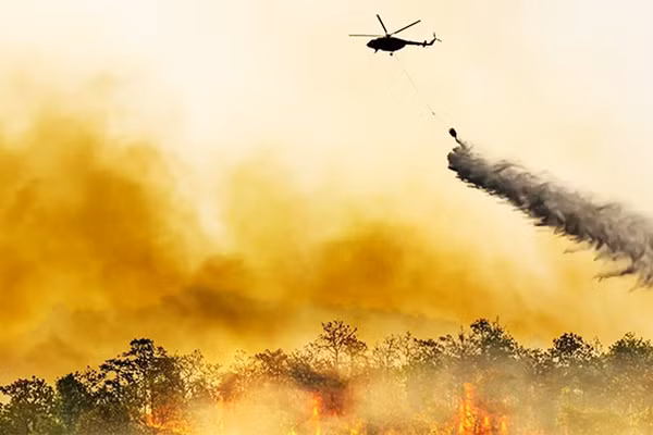 Hiện tượng siêu El Nino gây khô hạn và cháy rừng tại Brazil. Ảnh: FUTURA SCIENCES