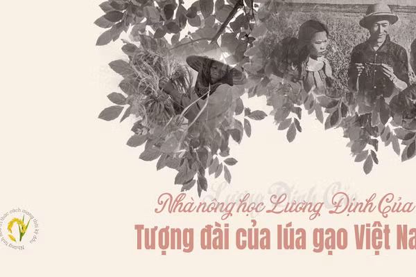 Nhà nông học Lương Định Của – Tượng đài của lúa gạo Việt Nam