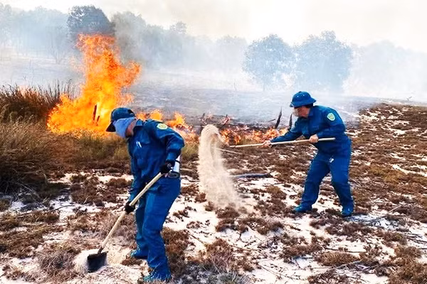Dân quân xúc cát dập lửa cháy rừng ở xã Ninh Châu.