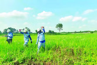 Chủ đầu tư tổ chức cắm cọc mốc, giao ranh chuẩn bị khởi công dự án tuyến cao tốc Thành phố Hồ Chí Minh-Mộc Bài.
