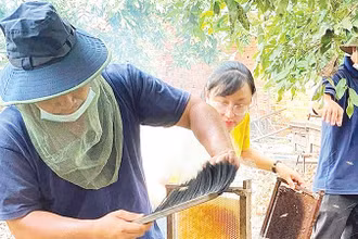 Sản phẩm mật ong của Công ty TNHH Một thành viên Ong mật Bảo An Tây Ninh được công nhận đạt chuẩn OCOP 4 sao. (Ảnh CTV)