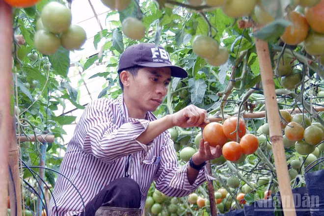 Lâm Đồng tiến hành rà soát, xác định nông hộ có mức sống trung bình.