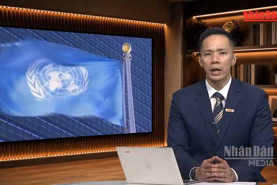 [Video] Tiêu điểm 29/10: Liệu Liên hợp quốc sẽ có nữ Tổng thư ký đầu tiên?