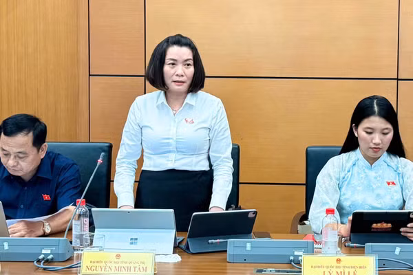 Đại biểu Nguyễn Minh Tâm, Phó trưởng Đoàn đại biểu Quốc hội chuyên trách tỉnh Quảng Trị phát biểu tại tổ. (Ảnh: TL)