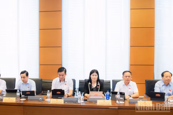 Đại biểu Quốc hội thảo luận tại tổ. (Ảnh: DUY LINH)