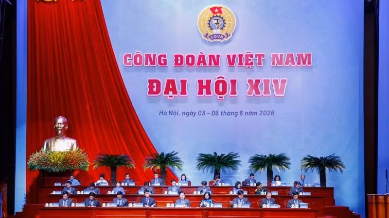 z7895285064707-858b5d5995b8e39dd40818b923b52cb420260603221441-5733-4622.jpg