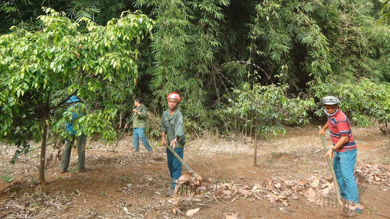 bai-126-anh-4-cong-dong-nhan-khoan-bao-ve-rung-dak-mai-phat-duong-bang-can-lua-4898.jpg