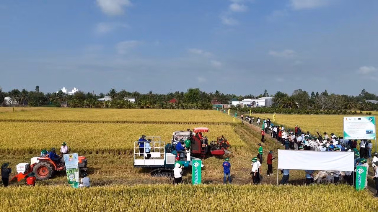 bai-55-anh-3-4821.jpg
