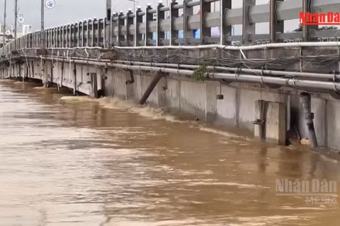 [Video] Rà soát kiểm tra các cầu yếu và công trình vượt sông có nguy cơ bị sạt lở, hư hỏng do mưa lũ