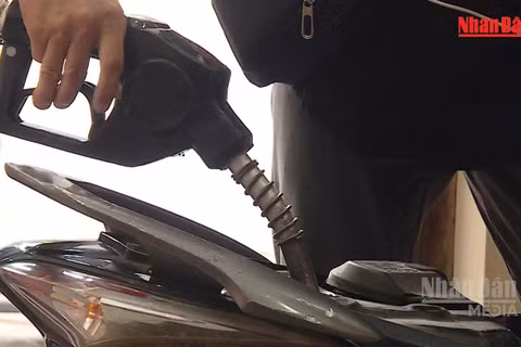 [Video] Chính phủ kéo dài thời hạn áp dụng loạt sắc thuế ưu đãi đối với xăng dầu đến hết năm