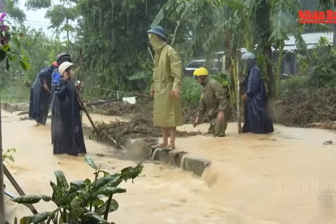 [Video] Quảng Trị khẩn trương khắc phục hậu quả mưa lũ 