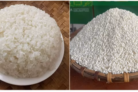 Gạo nếp Gà Gáy Mỹ Lung từ lâu đã được người tiêu dùng biết đến nhờ chất lượng đặc thù nổi bật. (Ảnh: Trung tâm Thẩm định Chỉ dẫn địa lý và Nhãn hiệu quốc tế)