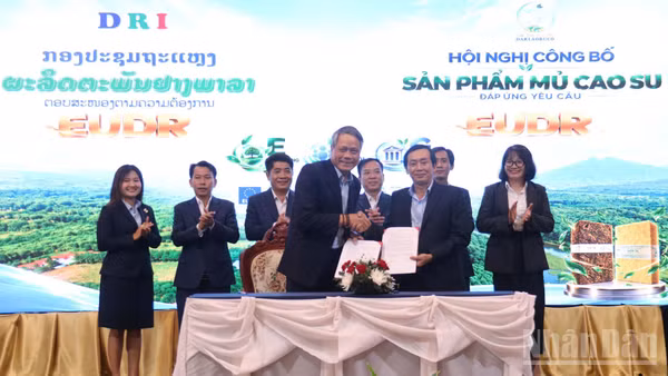 Công ty Daklaoruco cũng ký các bản ghi nhớ hợp tác và hợp đồng mua bán sản phẩm mủ cao su đáp ứng EUDR với các đối tác. (Ảnh: DUY TOÀN)