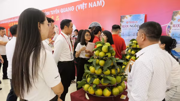 Tỉnh Tuyên Quang tổ chức hội nghị kết nối cung-cầu và tiêu thụ sản phẩm của tỉnh với hệ thống siêu thị Go!. (Ảnh: KHÁNH TOÀN)