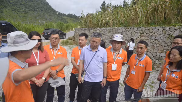 Đoàn chuyên gia mạng lưới Công viên địa chất toàn cầu UNESCO kiểm tra các điểm di sản địa chất trên vùng công viên địa chất.