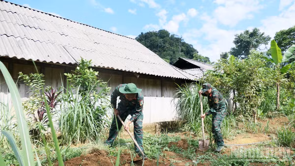 Cán bộ, chiến sĩ Đội Tìm kiếm, quy tập hài cốt liệt sĩ tìm kiếm trên đất gia đình ông Hầu Sào Chung, thôn Hoàng Lỳ Pả, xã Minh Tân.