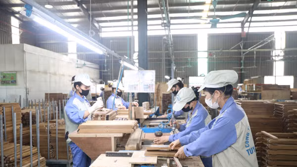 Tuyên Quang thúc đẩy sản xuất công nghiệp để đạt mục tiêu tăng trưởng. (Ảnh: ĐỨC THẮNG) 