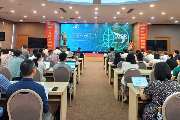 Đại biểu dự Hội thảo. (Ảnh: TRẦN THƯỜNG)