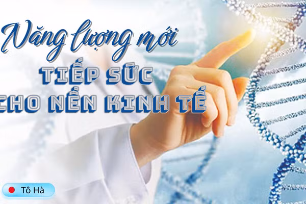 Năng lượng mới tiếp sức cho nền kinh tế