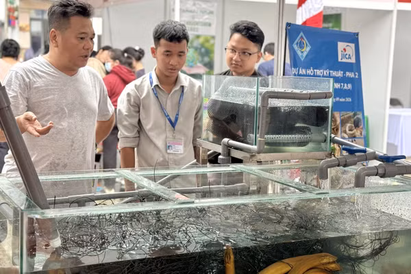 Thành viên nhóm nghiên cứu giới thiệu về mô hình nuôi lươn trong hệ thống tuần hoàn và hệ thống đo cảm biến môi trường, tại gian hàng của Cơ quan Hợp tác quốc tế Nhật Bản. (Ảnh: JICA)