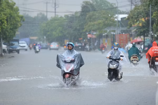 (Ảnh minh họa: THÀNH ĐẠT)