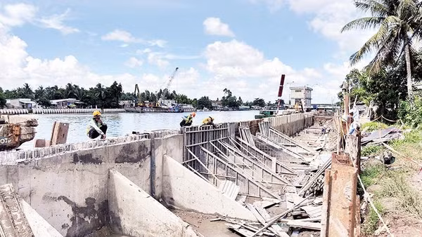 Thi công kè phòng chống sạt lở khu vực sông Cái Côn ở đô thị Ngã Bảy.