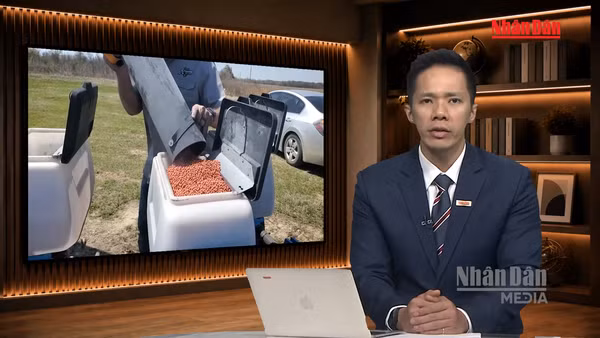 [Video] Tiêu điểm 19/10: Vì sao Mỹ nối lại nhập khẩu phân bón Belarus?
