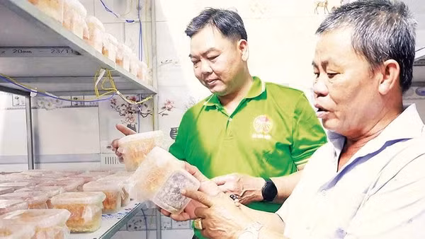 Nông dân tham quan cơ sở sản xuất nấm đông trùng hạ thảo Phương Nghi, xã Tân Tiến, thành phố Đồng Nai.