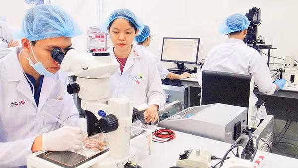 Hoạt động nghiên cứu khoa học tại Đại học quốc gia Thành phố Hồ Chí Minh (Ảnh CAO TÂN)