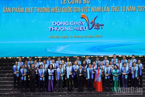 Danh hiệu ghi nhận những kết quả của Hãng trong nâng cao chất lượng dịch vụ, mở rộng mạng bay và phát triển thương hiệu trên thị trường quốc tế. (Ảnh: THẾ SƠN)
