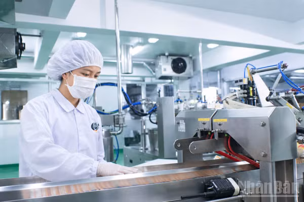 Công nhân sản xuất trong nhà máy tại Khu chế xuất, Khu công nghiệp Thành phố Hồ Chí Minh. (Ảnh: QUANG QUÝ)