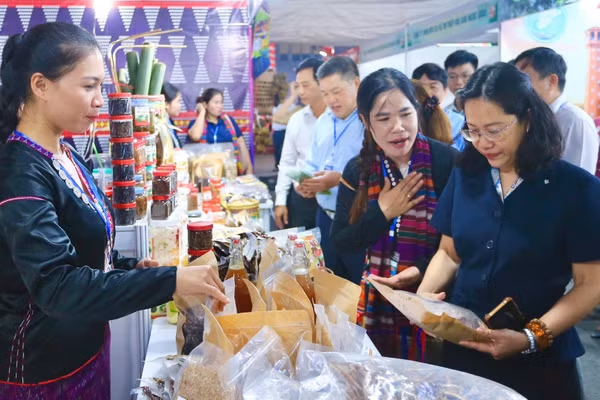 Các đại biểu tham quan gian hàng trưng bày tại Hội chợ. (Ảnh: TRỌNG ANH)